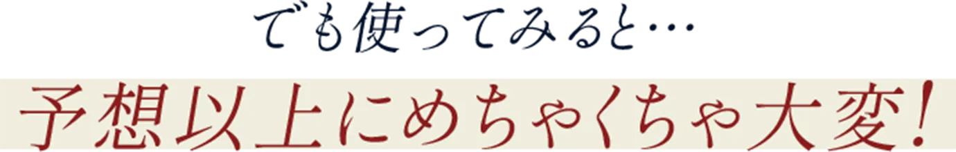 でも使ってみると…予想以上にめちゃくちゃ大変!